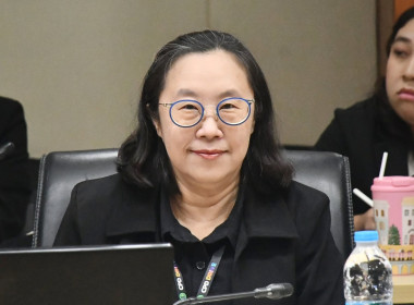 การประชุมทบทวนตัวชี้วัดและค่าเป้าหมายระยะ 5 ปี (พ.ศ. 2571 - ... พารามิเตอร์รูปภาพ 17